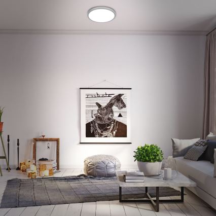 Briloner 3709-014 - LED RGBW Dimmable ceiling light LED/22W/230V 4000K d. 38 cm silver + remote control