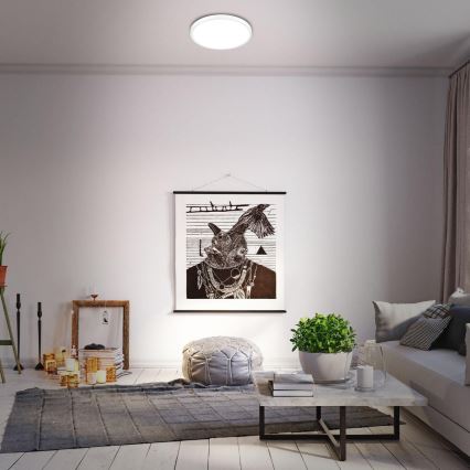 Briloner 3709-016 - LED RGBW Dimmable ceiling light LED/22W/230V 4000K d. 38 cm white + remote control