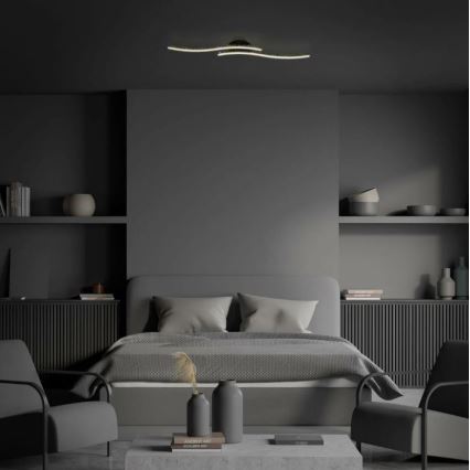 Briloner 3718-025 - LED Surface-mounted chandelier REY 2xLED/6W/230V black