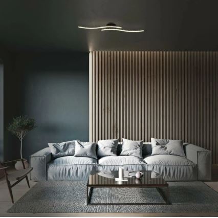 Briloner 3718-025 - LED Surface-mounted chandelier REY 2xLED/6W/230V black