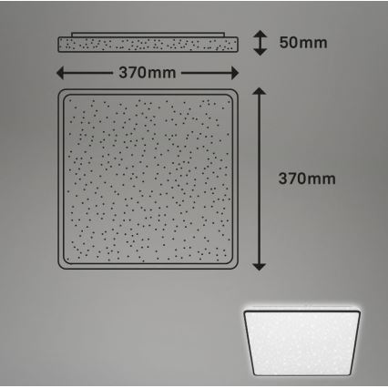 Briloner 3749-415 - LED Ceiling light LINO LED/24W/230V black