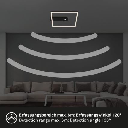 Briloner 3770-015 - LED ceiling light with motion and dusk sensor FRAME LED/14W/230V 3000K 30x32 cm black