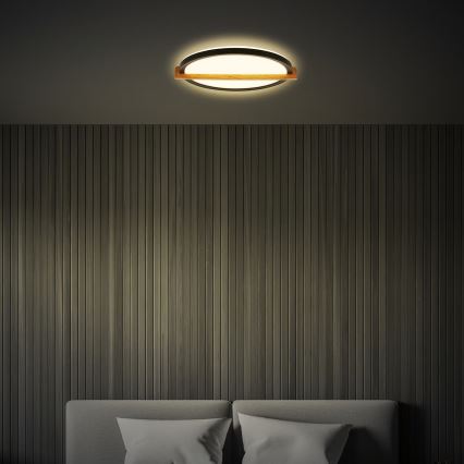 Briloner 3844015 - LED ceiling light LED/18W/230V Ø 31.5 cm