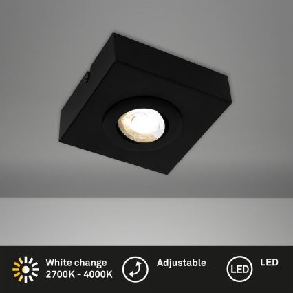 Briloner 3996015 - LED Spotlight CTS LED/4W/230V 2700/4000K black