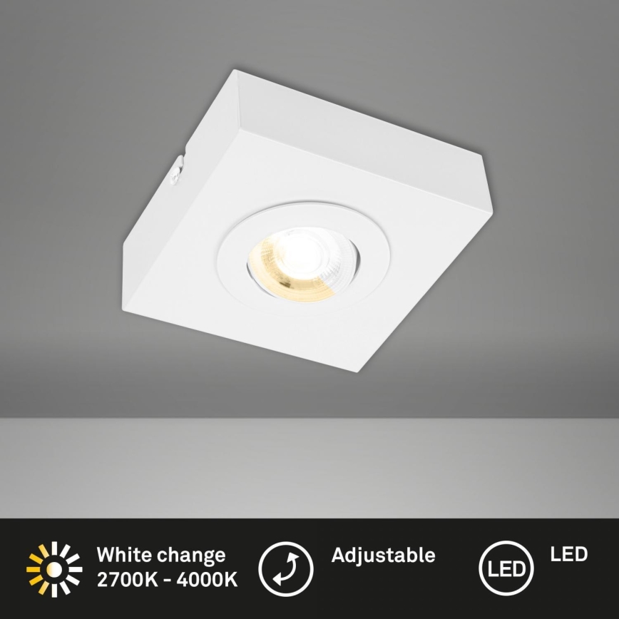 Briloner 3996016 - LED Spotlight CTS LED/4W/230V 2700/4000K white