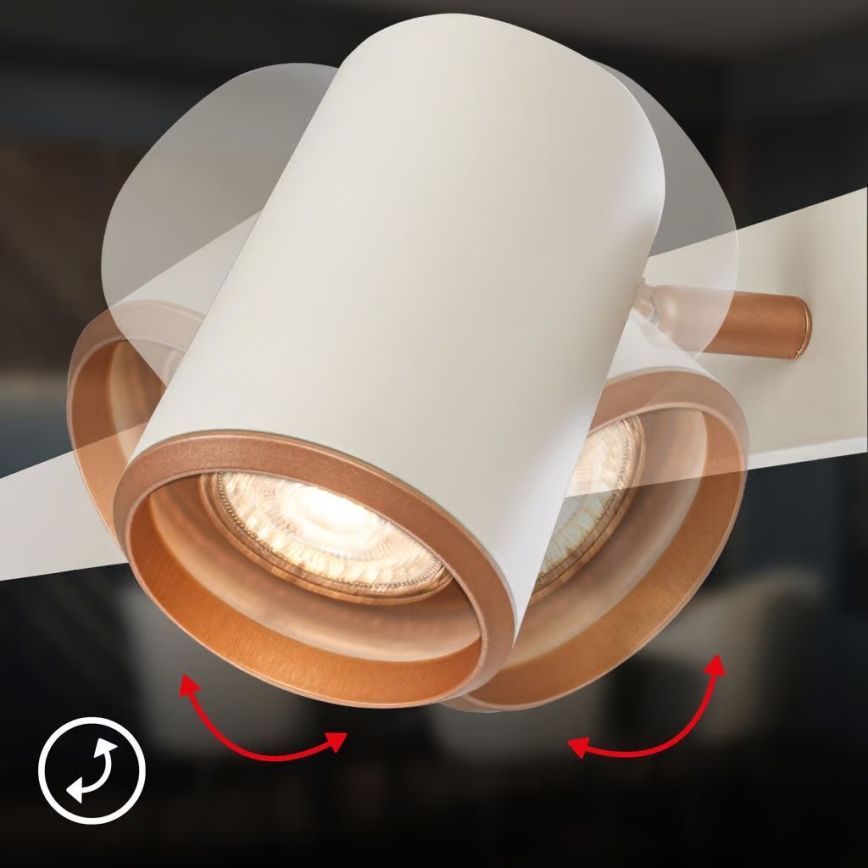 Briloner 4058044 - ERA cable pendant light 4xGU10/10W/230V cream