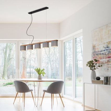 Briloner 4075-054 - RHON pendant light on cable 5xE14/25W/230V