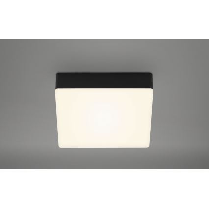 Briloner 7069-015 - LED Ceiling light LED/11W/230V black