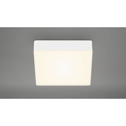 Briloner 7069-016 - LED Ceiling light LED/11W/230V white