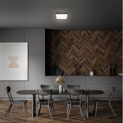 Briloner 7070-015 - LED Ceiling light FLAME LED/16W/230V black