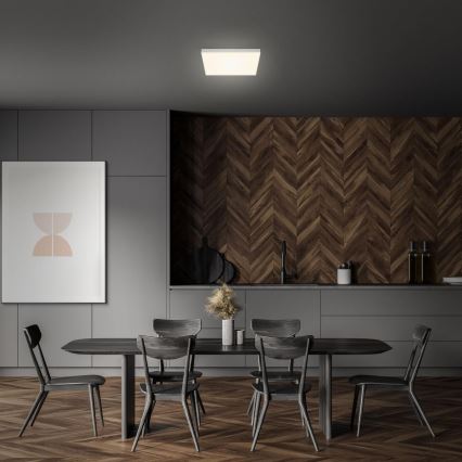 Briloner 7071-014 - LED Ceiling light FLAME LED/21W/230V 3000K 28,7x28,7 cm silver