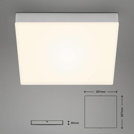 Briloner 7071-014 - LED Ceiling light FLAME LED/21W/230V 3000K 28,7x28,7 cm silver