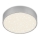 Briloner 7072-414 - LED Ceiling light STAR SKY LED/11W/230V 4000K d. 15 cm silver