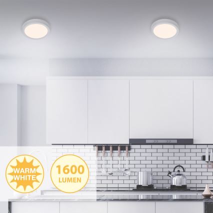 Briloner 7117-014 - LED Ceiling light FIRE LED/16,5W/230V 3000K