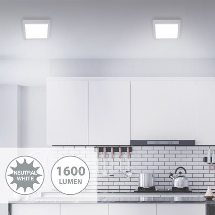 Briloner 7118-414 - LED Ceiling light FIRE LED/16,5W/230V 4000K