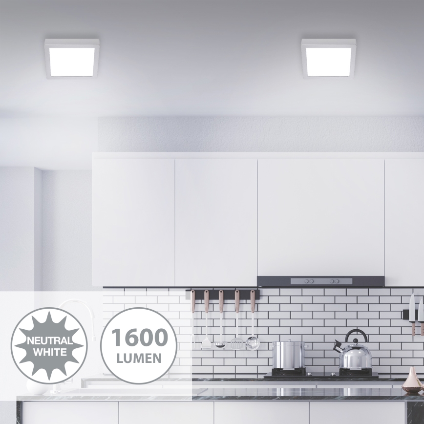 Briloner 7118-414 - LED Ceiling light FIRE LED/16,5W/230V 4000K