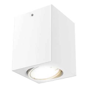 Briloner 7120-016 - LED Spotlight TUBE 1xGU10/5W/230V angular