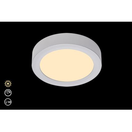 Briloner 7124-014 - LED Dimmable ceiling light FIRE LED/12W/230V 3000K