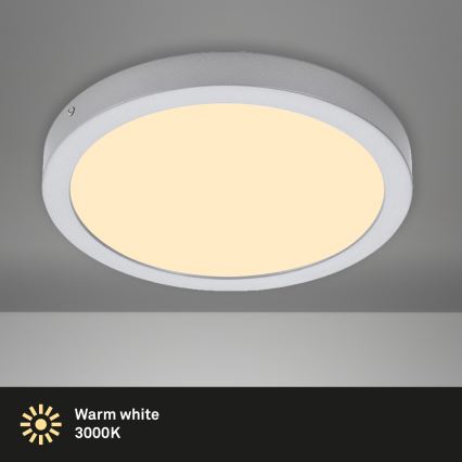 Briloner 7132-014 - LED Bathroom ceiling light FIRE LED/21W/230V 3000K IP44