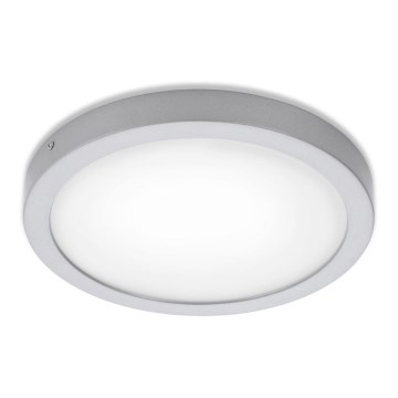 Briloner 7141-414 - LED Ceiling light FIRE LED/21W/230V 4000K