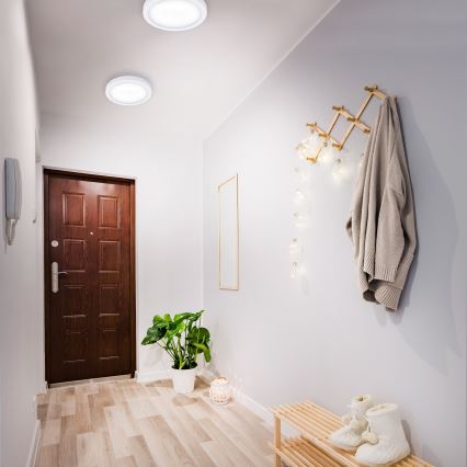 Briloner 7141-416 - LED Ceiling light FIRE LED/21W/230V