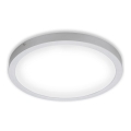 Briloner 7143-414 - LED Ceiling light FIRE LED/24,5W/230V 4000K