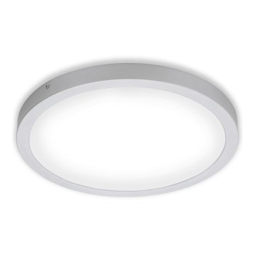 Briloner 7143-414 - LED Ceiling light FIRE LED/24,5W/230V 4000K