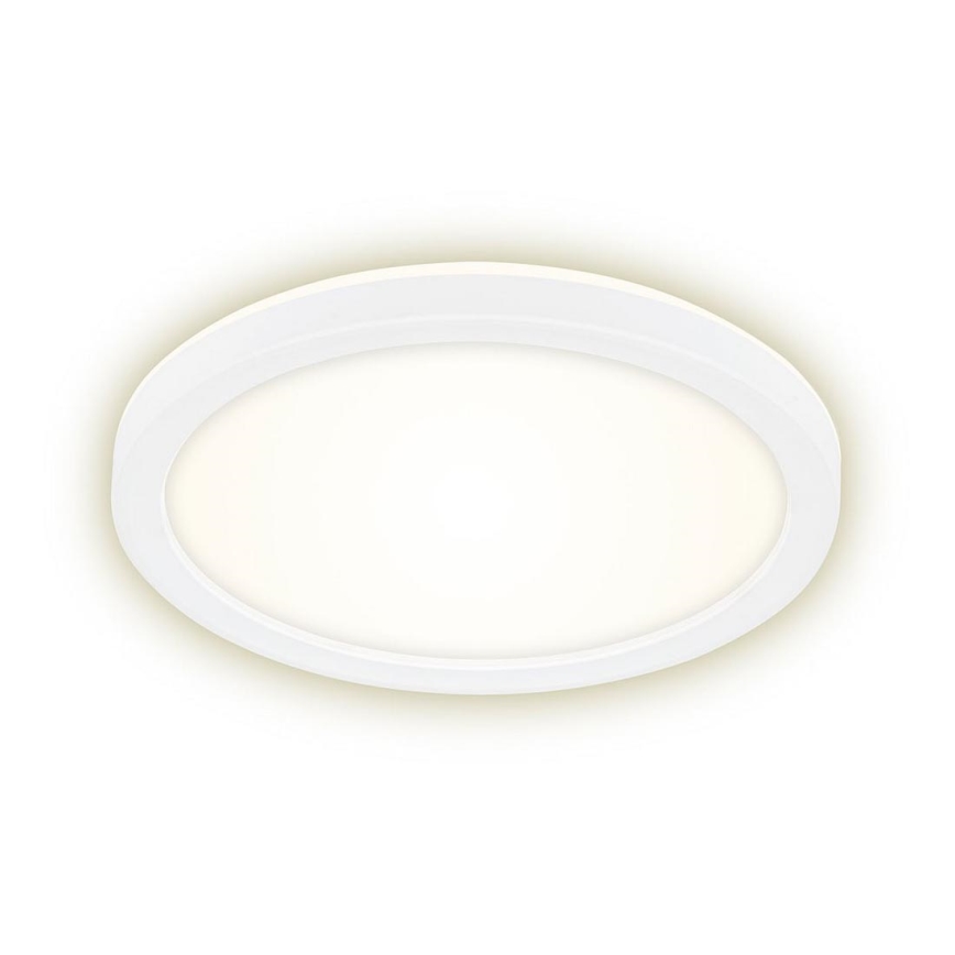 Briloner 7150-416 - LED Ceiling light SLIM LED/12W/230V d. 19 cm