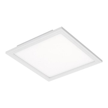 Briloner 7191-016 - LED Ceiling light SIMPLE LED/12W/230V