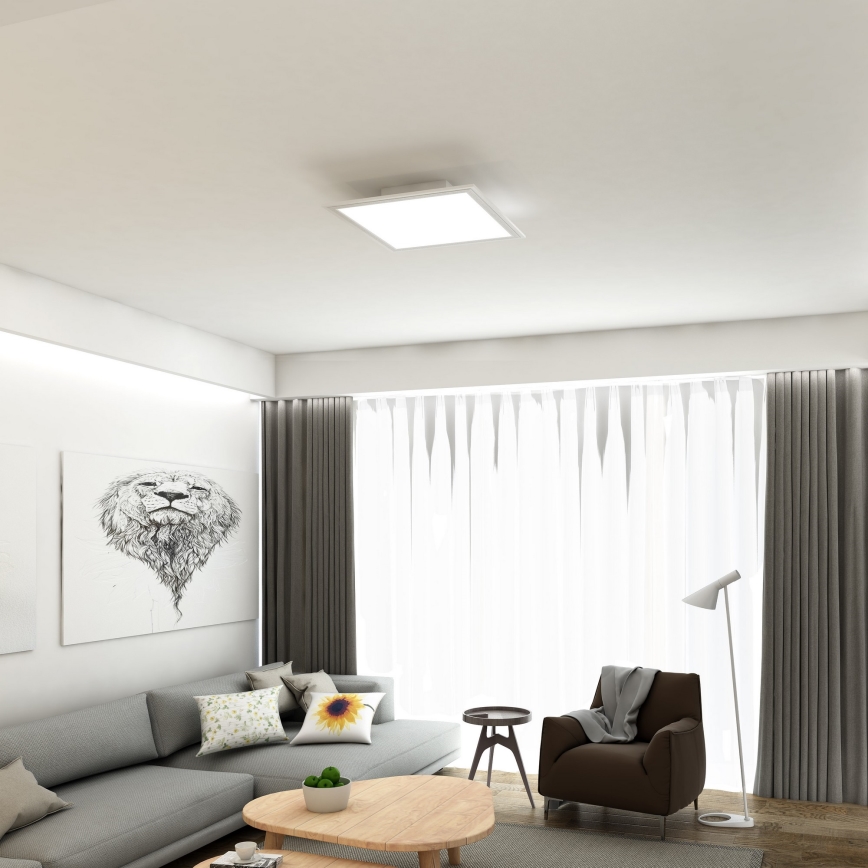 Briloner 7191-016 - LED Ceiling light SIMPLE LED/12W/230V