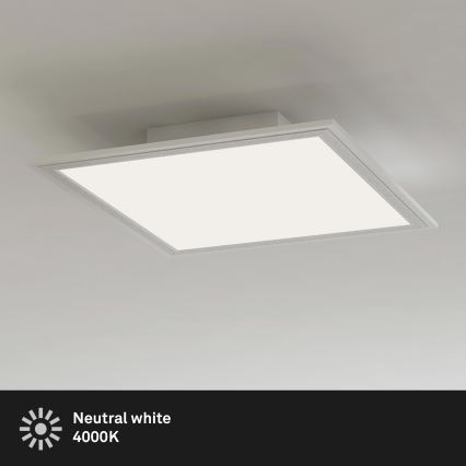 Briloner 7191-016 - LED Ceiling light SIMPLE LED/12W/230V