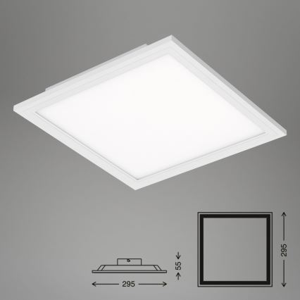 Briloner 7191-016 - LED Ceiling light SIMPLE LED/12W/230V