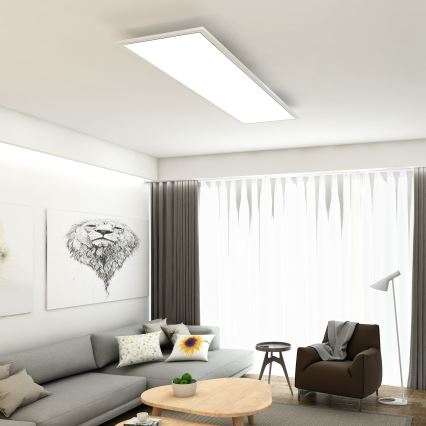 Briloner 7193-016 - Surface-mounted LED Panel, 38W/230V/4000K