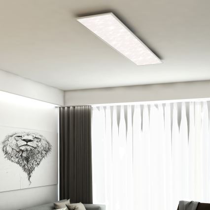 Briloner 7308-016 - LED Dimmable ceiling light STARRY SKY LED/24W/230V 3000-6000K + remote control