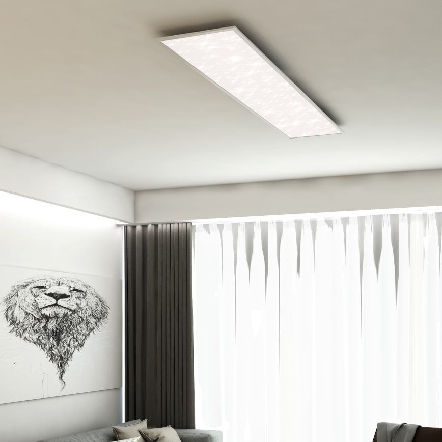 Briloner 7308-016 - LED Dimmable ceiling light STARRY SKY LED/24W/230V 3000-6000K + remote control