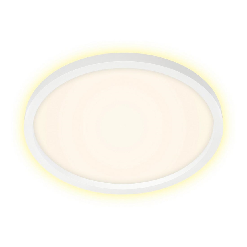 Briloner 7363-016 - LED Ceiling light CADRE LED/22W/230V d. 42,5 cm white