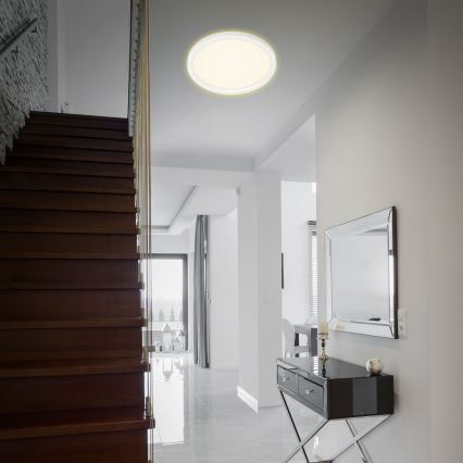 Briloner 7363-016 - LED Ceiling light CADRE LED/22W/230V d. 42,5 cm white