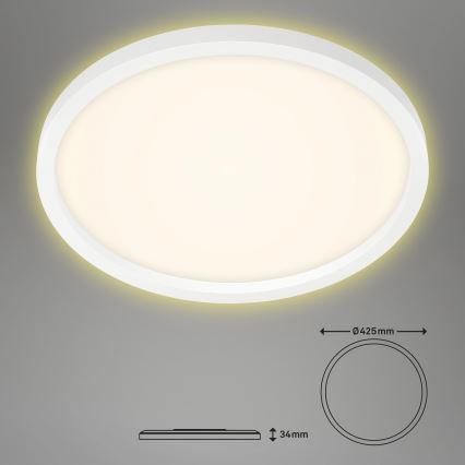 Briloner 7363-016 - LED Ceiling light CADRE LED/22W/230V d. 42,5 cm white