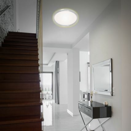 Briloner 7363-019 - LED Ceiling light CADRE LED/22W/230V d. 42,5 cm
