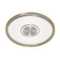 Briloner 7366-112 - LED Ceiling light GEO LED/22W/230V
