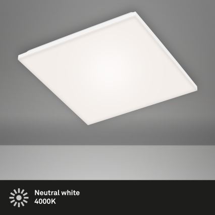 Briloner 7376-116 - LED Ceiling light FRAMELESS LED/24W/230V