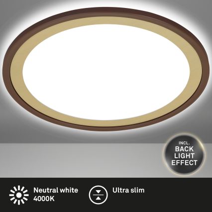 Briloner 7454-417 - LED Ceiling light DECO LED/18W/230V