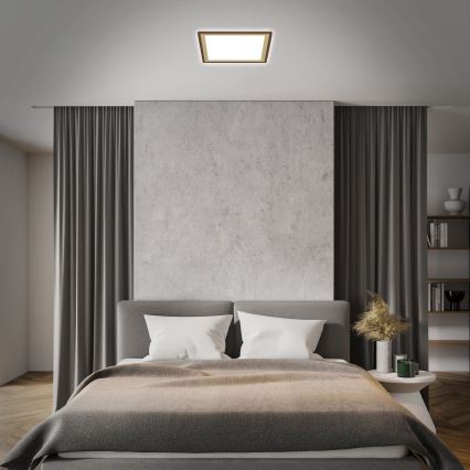 Briloner 7459-417 - LED Dimmable ceiling light DECO LED/24W/230V 2700-6500K + remote control