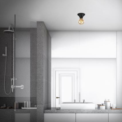 Briloner - Bathroom ceiling light 1xE27/10W/230V IP44 black