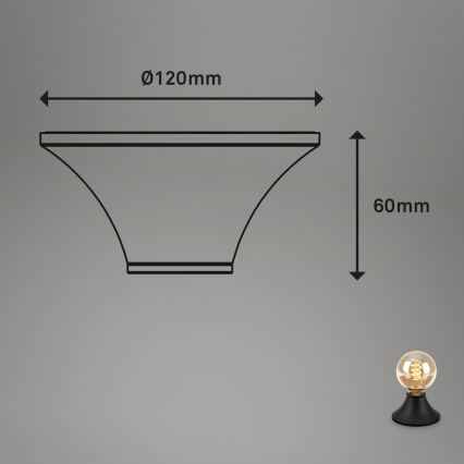 Briloner - Bathroom ceiling light 1xE27/10W/230V IP44 black