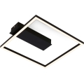 Briloner - FRAME LED Ceiling Light, 14 W, 230 V, 3000 K, 30 x 32 cm, Black