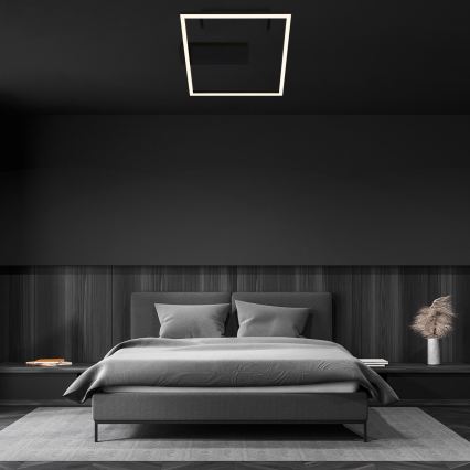 Briloner - FRAME LED Ceiling Light, 14 W, 230 V, 3000 K, 30 x 32 cm, Black
