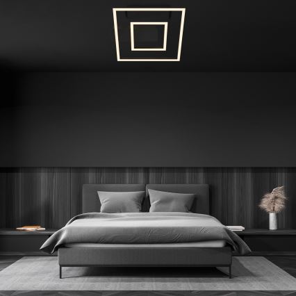 Briloner - FRAME LED Ceiling Light 22W/230V 3000K 30x32 cm Black