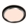 Briloner - LED Ceiling light KAHIKO LED/15W/230V black