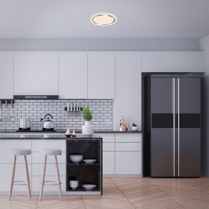 Briloner - LED Ceiling light KAHIKO LED/15W/230V white